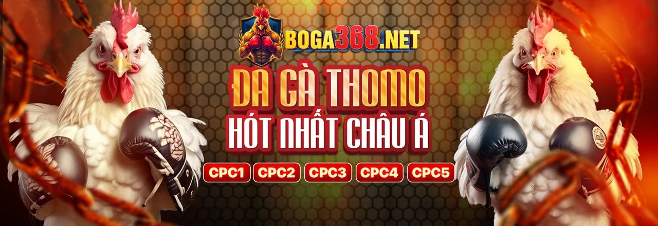 Đá Gà Trực Tuyến 79KINGBET