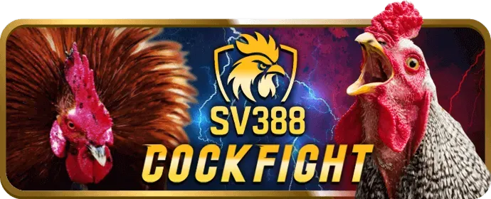 Hotline hỗ trợ 79kingbet